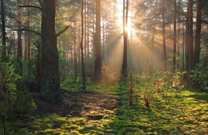 Fietsroute naar Landgoed de Baest