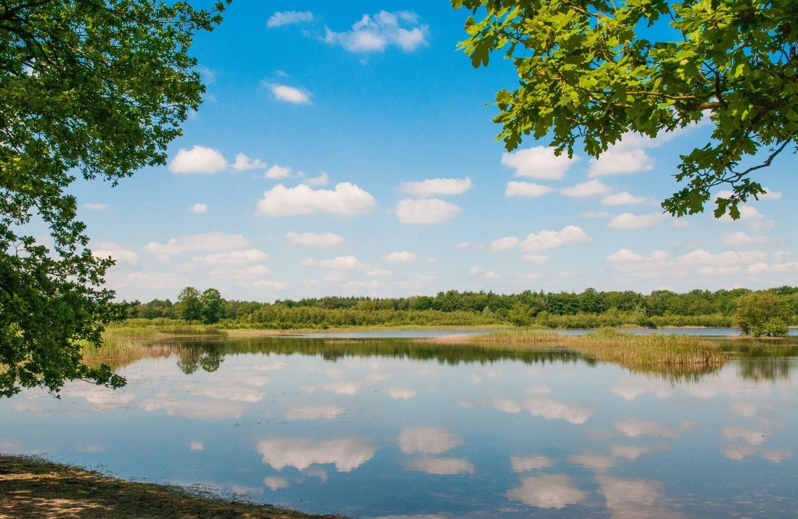 Aussicht auf das Grootmeer Ferienpark Eindhoven