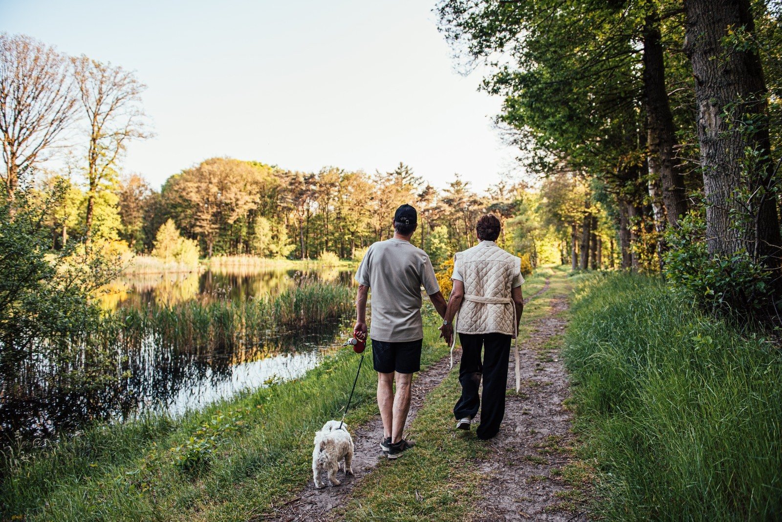 Hondencamping Nederland Eurocamping Vessem