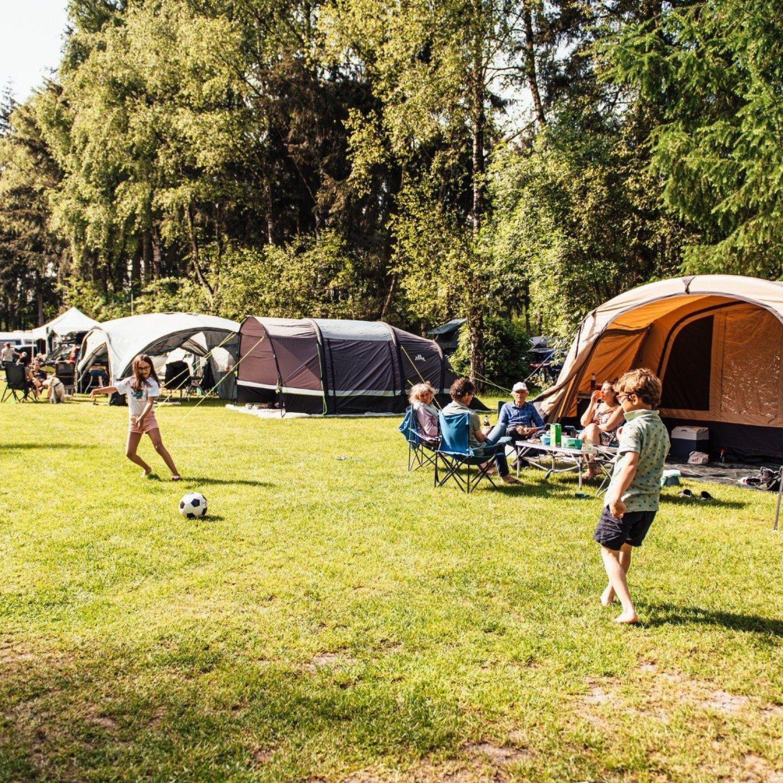 September arrangement